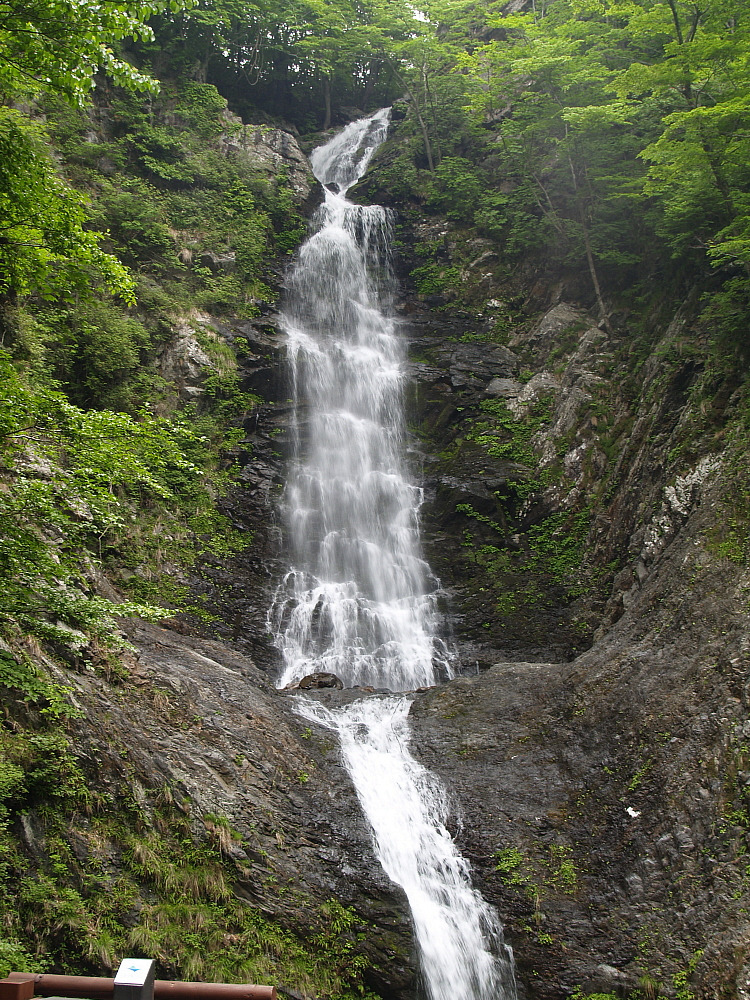 �̹����� Ŭ���ϸ� ������ ���� �� �ֽ��ϴ�.